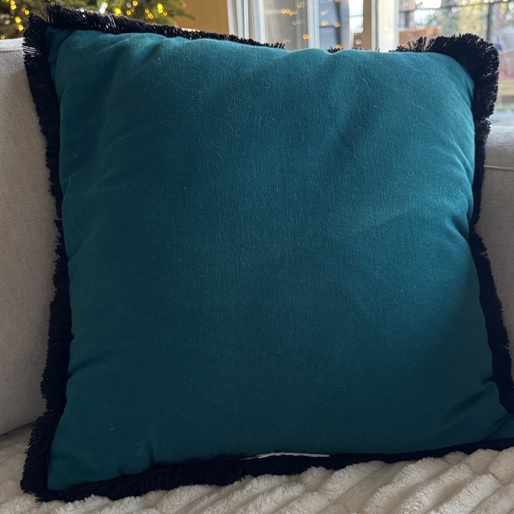 Target Opalhouse Mandrill Embroidered Accent Pillow - Picture 6 of 7